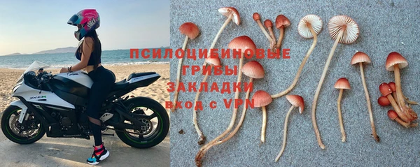 амфетамин Ладушкин