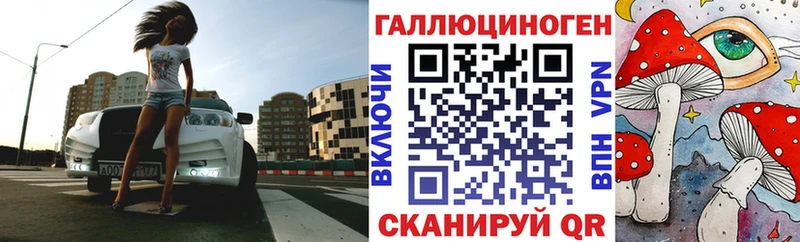 магазин    Королёв  Псилоцибиновые грибы Psilocybine cubensis 